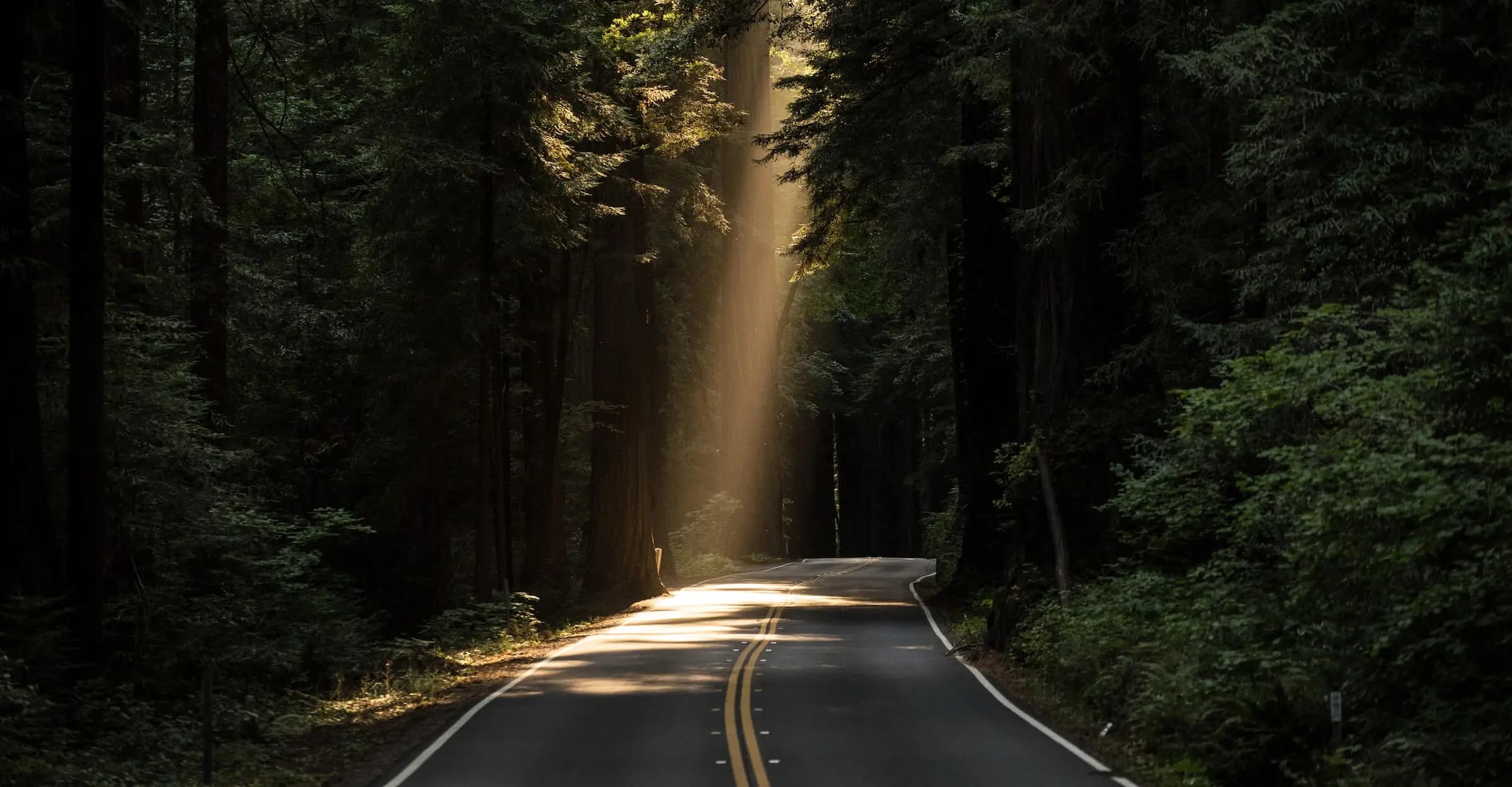 Tinero Voyage hero background